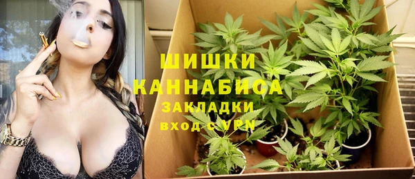СК Богородицк