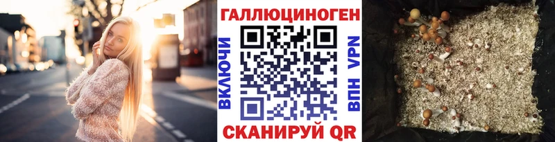 хочу наркоту  Высоковск  Галлюциногенные грибы ЛСД 